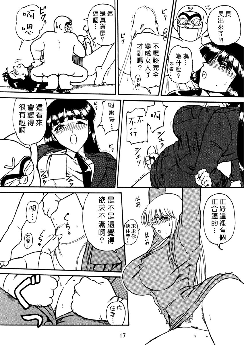 第17页