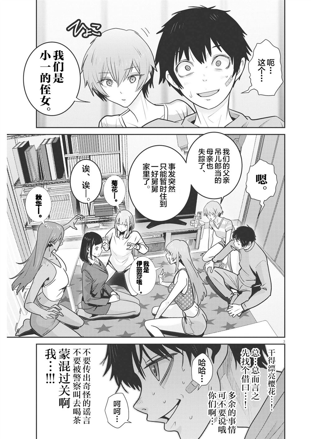 第3页