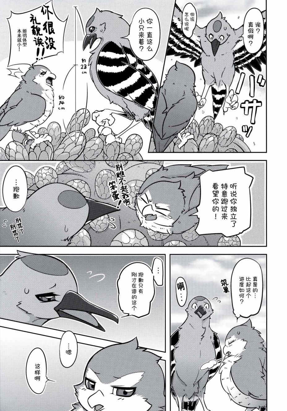 第62页