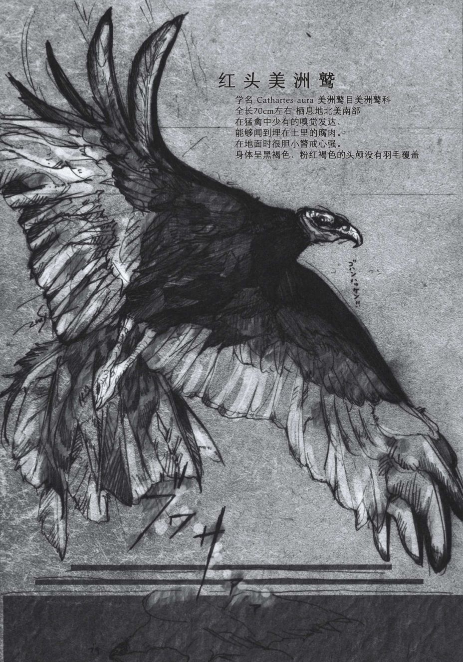 第77页