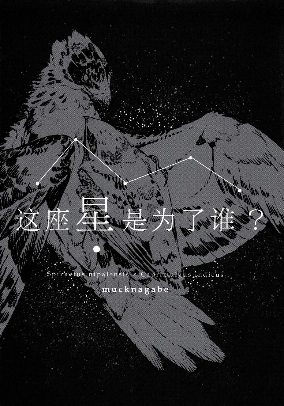 第88页