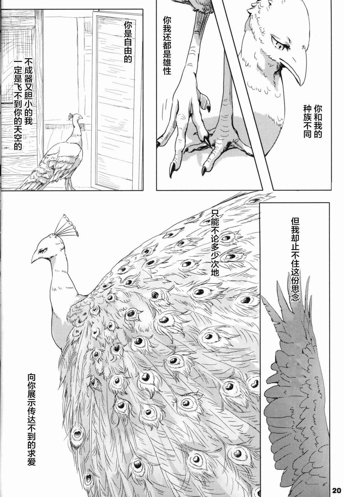 第20页