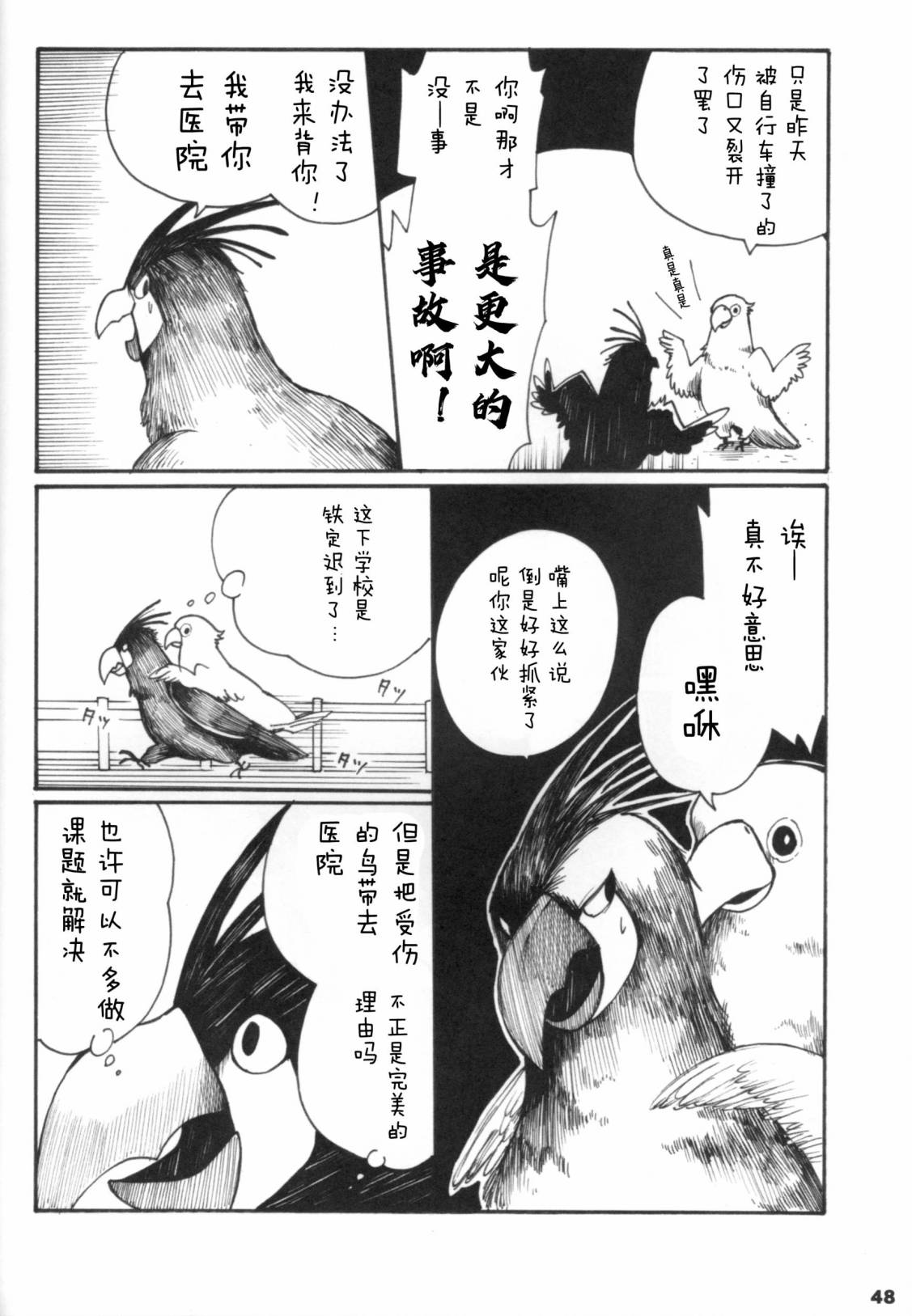 第48页