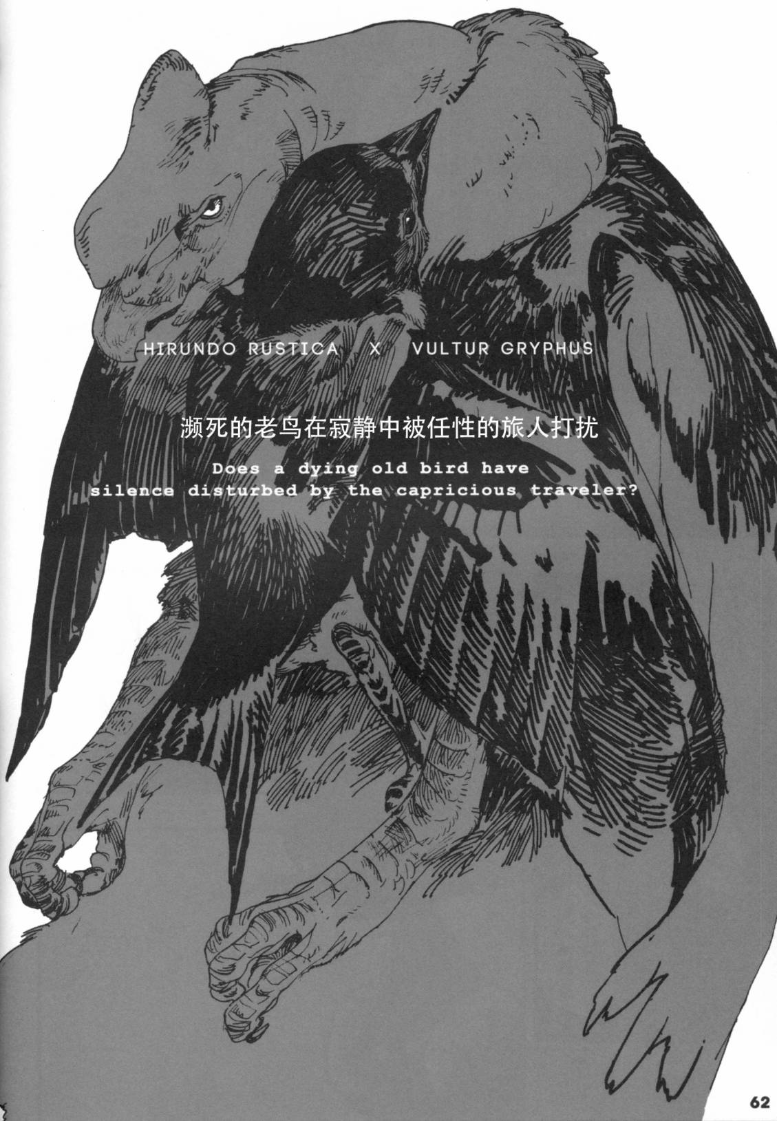 第62页