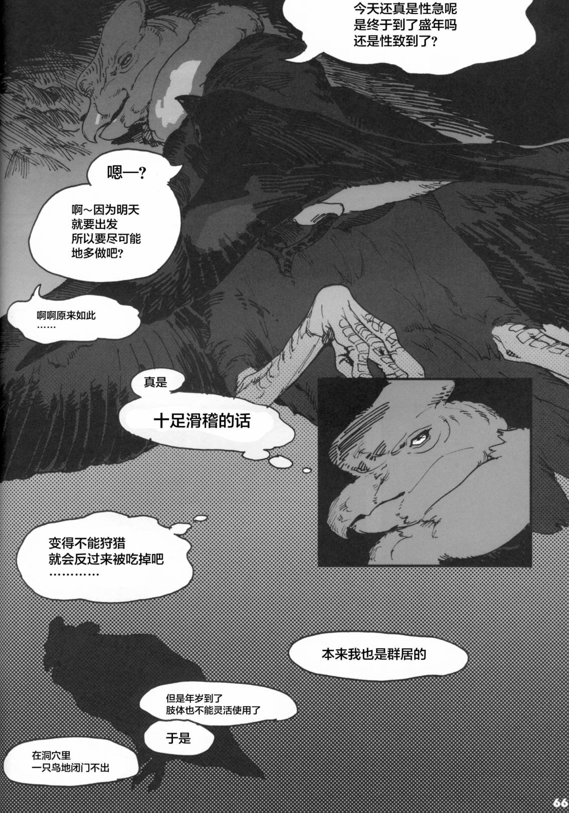 第66页