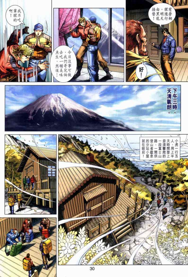 第30页