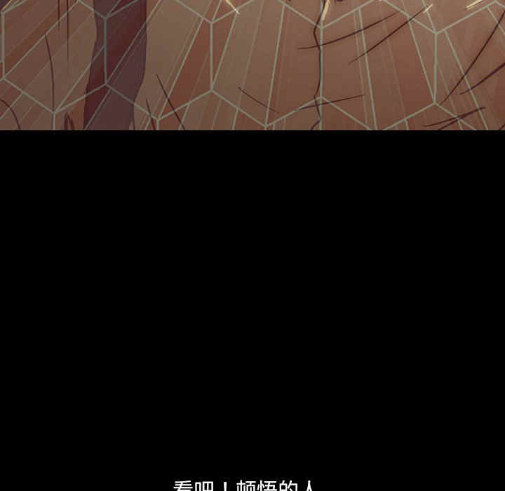 第223页